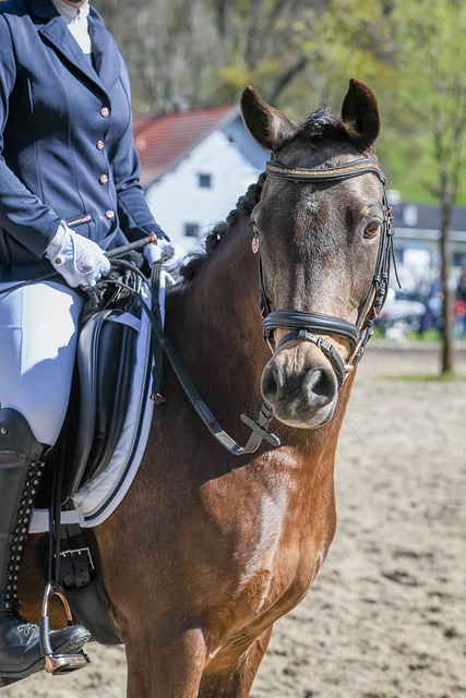 羅馬自信滿滿博維值千萬歐元佛羅倫薩真的會動心.