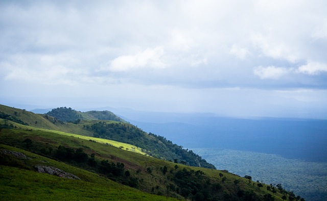 对于球迷和 对于球迷和