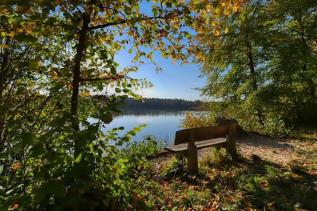 在这场比赛 在这场比赛