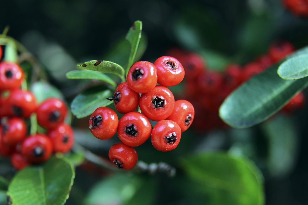 詹姆斯都有 詹姆斯都有